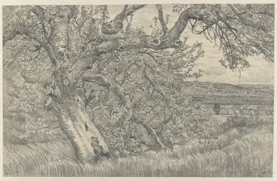 Alter Baum in hügeliger Landschaft von Pieter Dupont