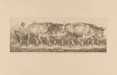 Ploegende ossen av Pieter Dupont
