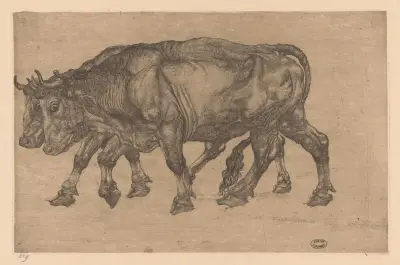 Zwei Ochsen von Pieter Dupont