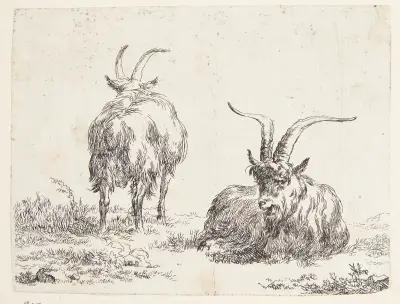 En liggande get och en stående get sedda bakifrån av Nicolaes Pietersz. Berchem