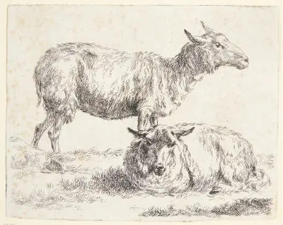 Stojící a ležící ovce – č. 2, Nicolaes Pietersz. Berchem