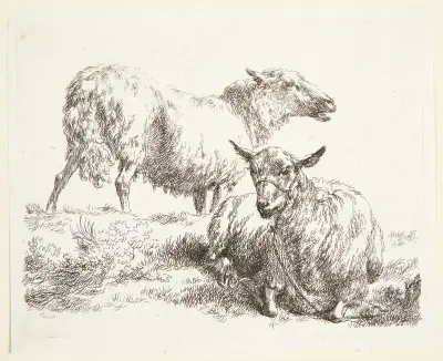 Ett stående och ett liggande får av Nicolaes Pietersz. Berchem