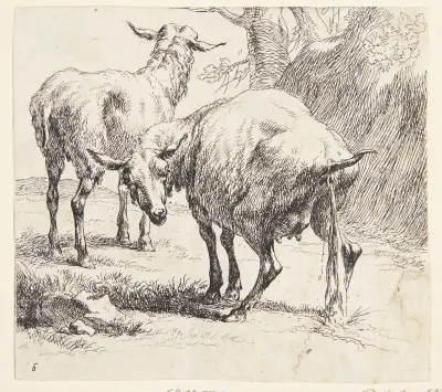 Ett stående och ett pissande får av Nicolaes Pietersz. Berchem