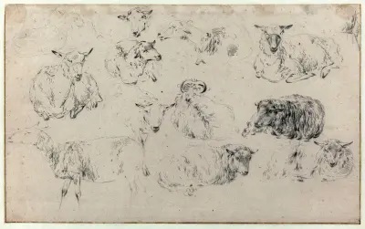 Studieblad med får av Nicolaes Pietersz. Berchem