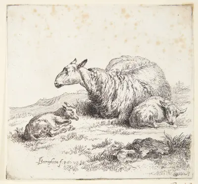 Liggende får med to lam av Nicolaes Pietersz. Berchem