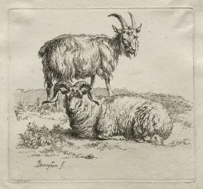 Vädur och get av Nicolaes Pietersz. Berchem