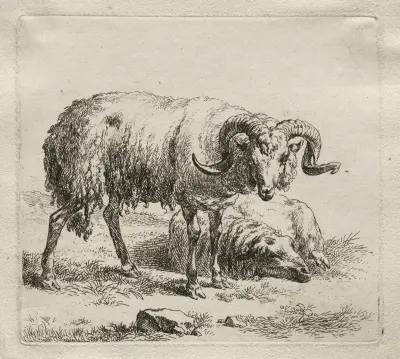 Vädur och får av Nicolaes Pietersz. Berchem