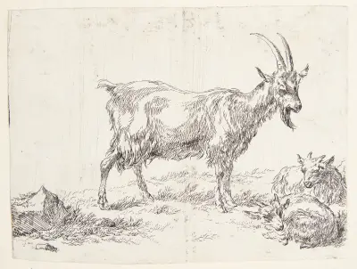 Stående get och getkid av Nicolaes Pietersz. Berchem