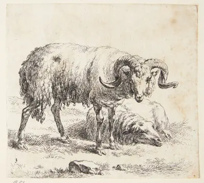 Stående bagge och liggande får 3 av Nicolaes Pietersz. Berchem