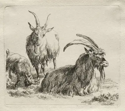 Drei Ziegen, 1635 – Nr. 2 von Nicolaes Pietersz. Berchem