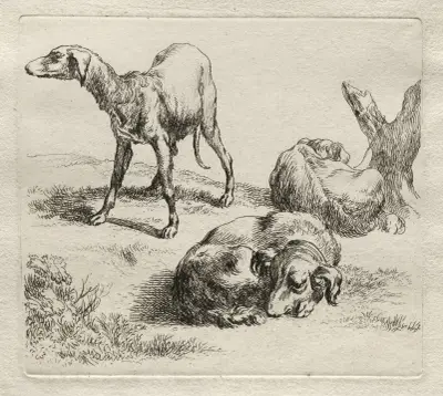 Tre jakthundar av Nicolaes Pietersz. Berchem