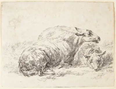 Två liggande får av Nicolaes Pietersz. Berchem