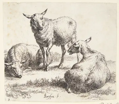 Två liggande och en stående får av Nicolaes Pietersz. Berchem