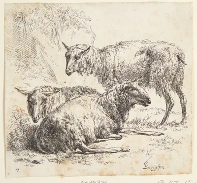Tre får av Nicolaes Pietersz. Berchem