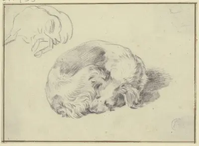 Two sleeping dogs av Nicolaes Pietersz. Berchem