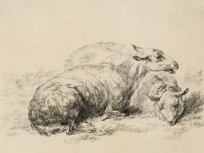Två liggande får av Nicolaes Pietersz. Berchem