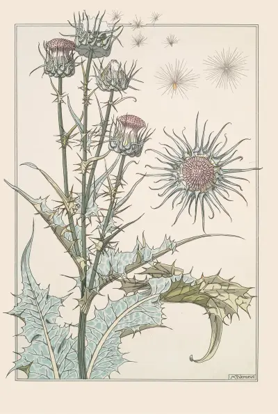 Chardon av Maurice Pillard Verneuil