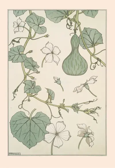 Courge von Maurice Pillard Verneuil