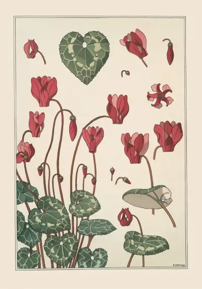 Cyclamen av Maurice Pillard Verneuil