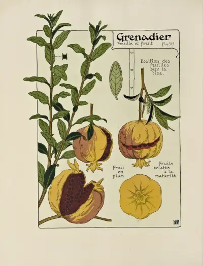 Grenadier von Maurice Pillard Verneuil