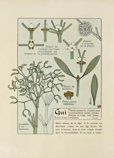 Gui von Maurice Pillard Verneuil