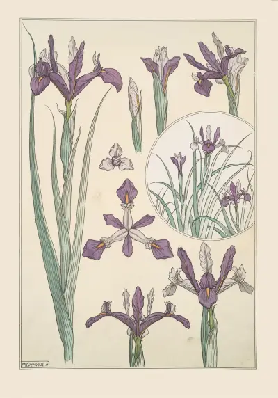 Iris av Maurice Pillard Verneuil
