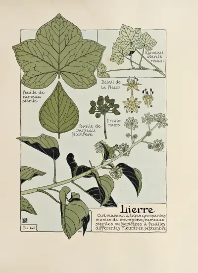 Lierre av Maurice Pillard Verneuil
