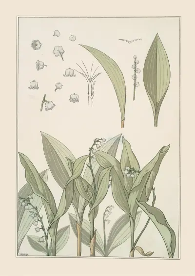 Muguet av Maurice Pillard Verneuil