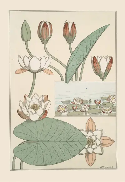 Nénuphar von Maurice Pillard Verneuil