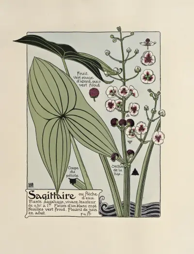 Sagittaire von Maurice Pillard Verneuil