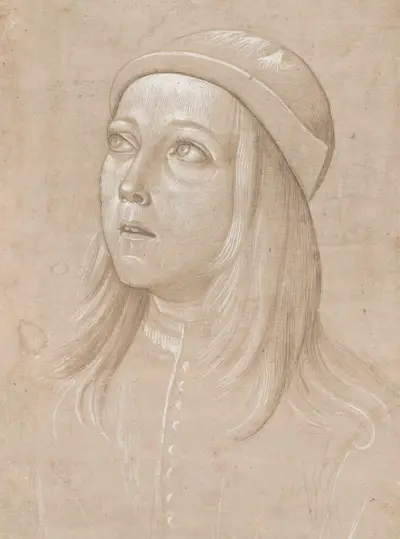 Head of a Youth Looking Up av Pinturicchio