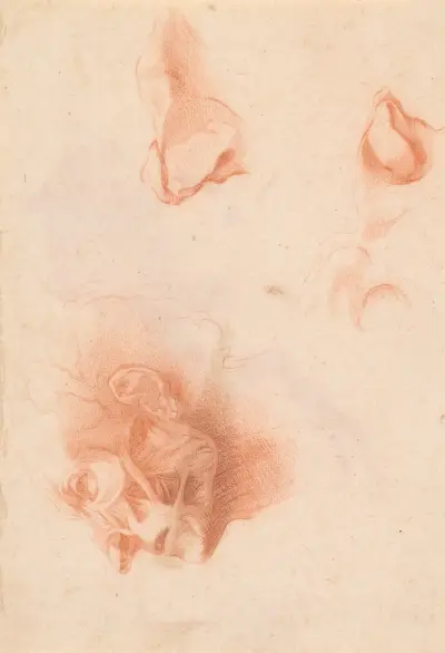 Anatomistudie, ansikte i profil av Pompeo Batoni