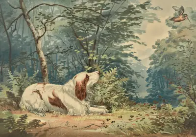 Reclining Spaniel, gazing at hovering hummingbird av Alexander Pope Jr.