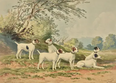 Six Jack Russell Terriers av Alexander Pope Jr.