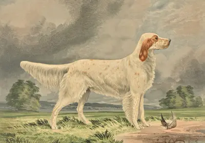 Standing Irish Red and White Setter, facing right, bird at feet av Alexander Pope Jr.