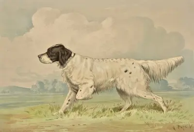 Standing Spotted Retriever, pointing left av Alexander Pope Jr.