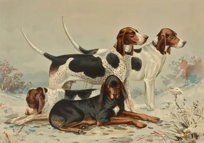 Three Foxhounds with Coonhound av Alexander Pope Jr.
