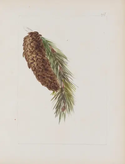 Album de botanique Pl.353 av Constant Amable Prevost-Hersant