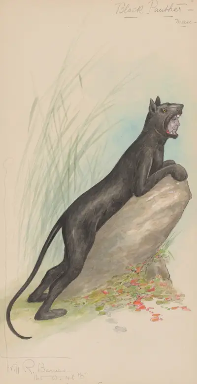 Black Panther-Man von Will R. Barnes