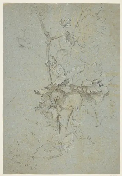 Plantestudie av Rachel Ruysch
