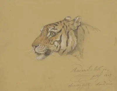 Kop van een Tijger av Raden Saleh