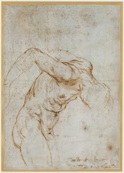 Study of a Nude Male Figure (ca. 1506–7) av Raphael