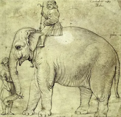 The Elephant Hanno av Raphael