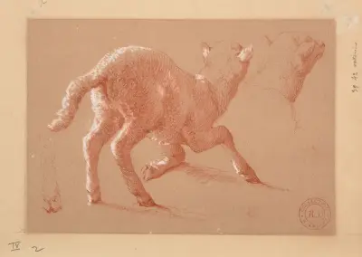 Agneau et études de tête et de patte av Jacques-Raymond Brascassat