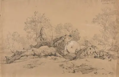 Arbre abattu av Jacques-Raymond Brascassat