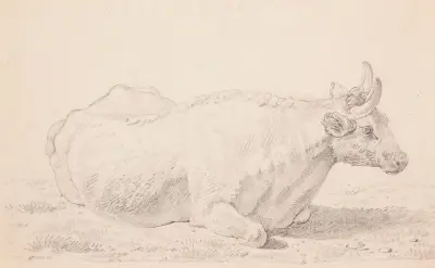 Liggande oxe av Jacques-Raymond Brascassat