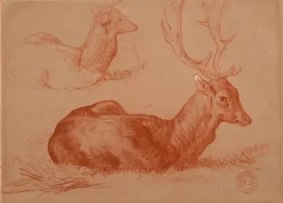 Cerf couché et étude de cerf av Jacques-Raymond Brascassat