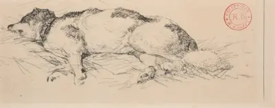 Liggande hund av Jacques-Raymond Brascassat
