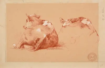 Deux études de vache couchée av Jacques-Raymond Brascassat