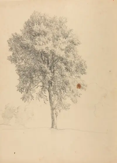 Trädstudie av Jacques-Raymond Brascassat